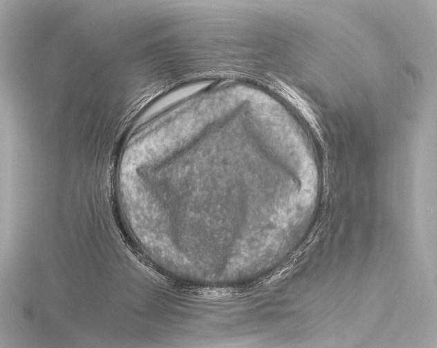 X0000115060105200912071159