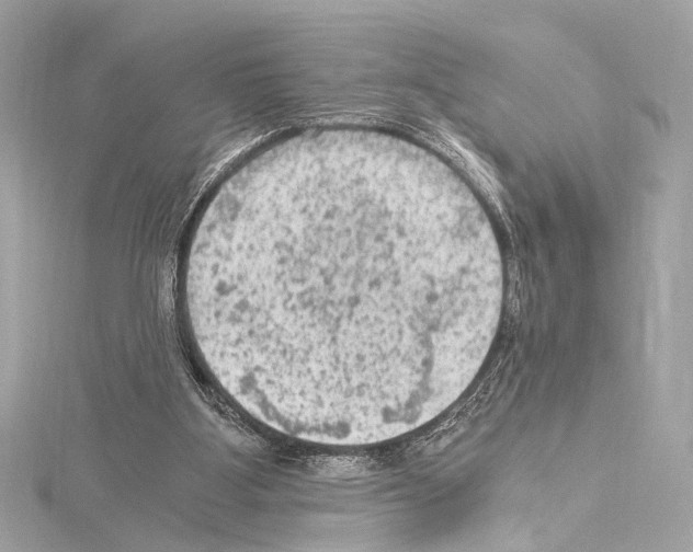 X0000115060107200912071159