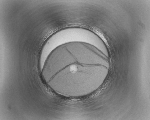 X0000115060109200912071159