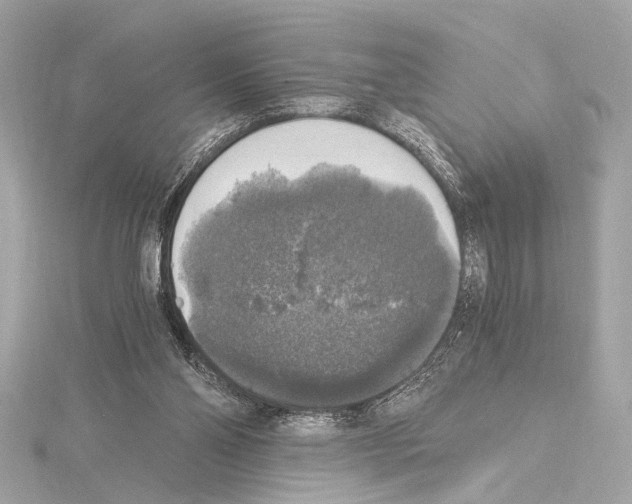 X0000115060110200912071159