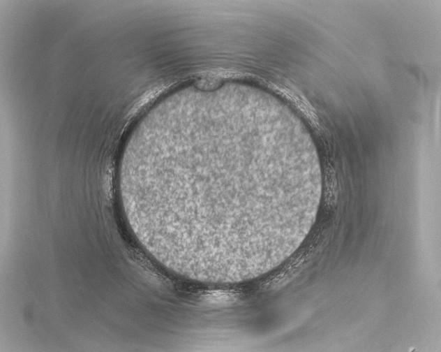 X0000115060111200912071159