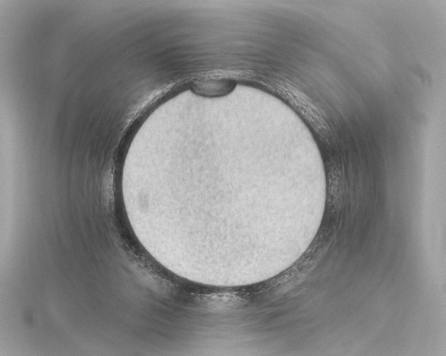 X0000115060112200912071159