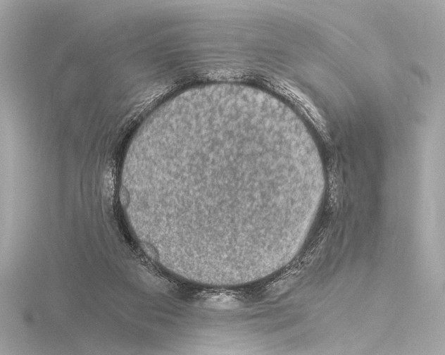 X0000115060113200912071159