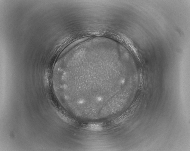 X0000115060114200912071159