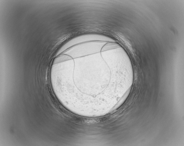 X0000115060115200912071159