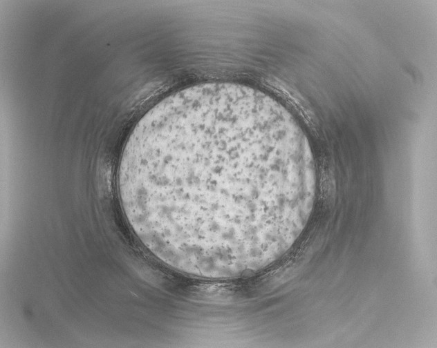 X0000115060117200912071159