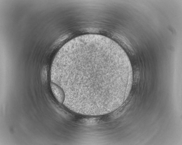 X0000115060120200912071159