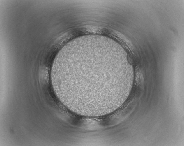 X0000115060121200912071159