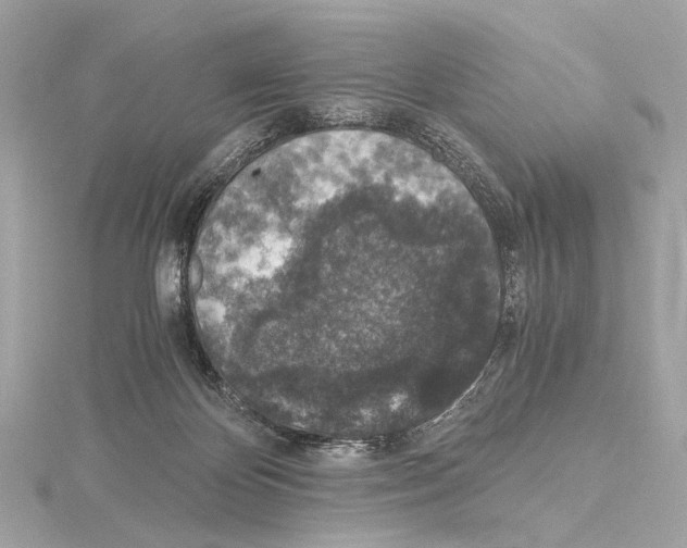 X0000115060124200912071159