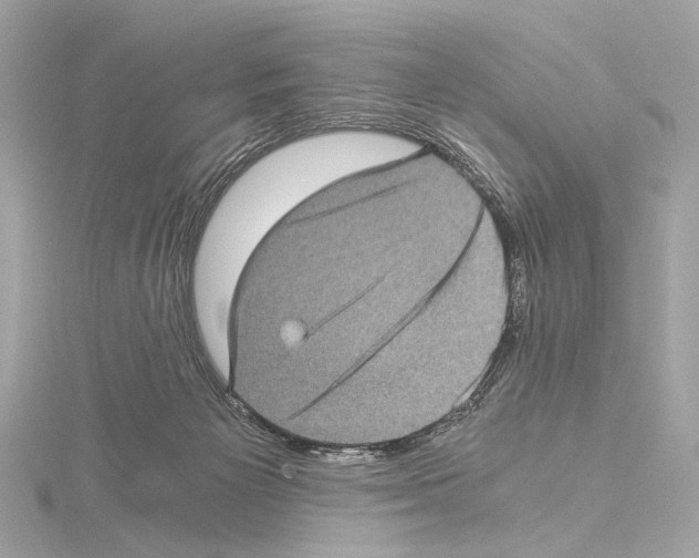 X0000115060125200912071159