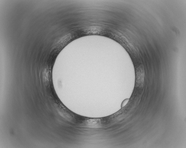 X0000115060126200912071159