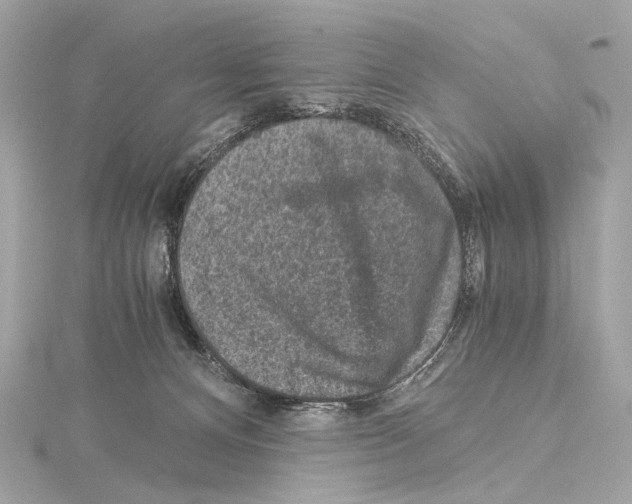 X0000115060128200912071159