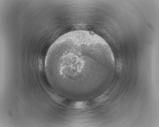 X0000115060130200912071159