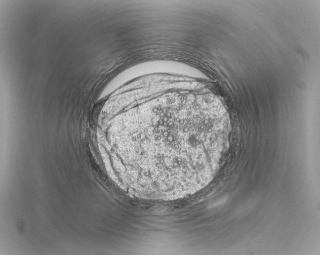 X0000115060131200912071159