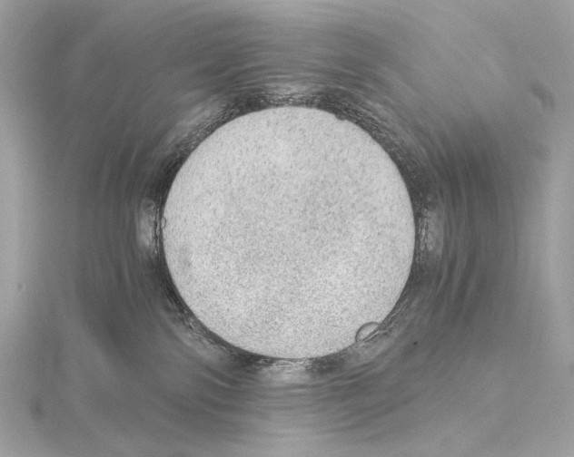 X0000115060138200912071159