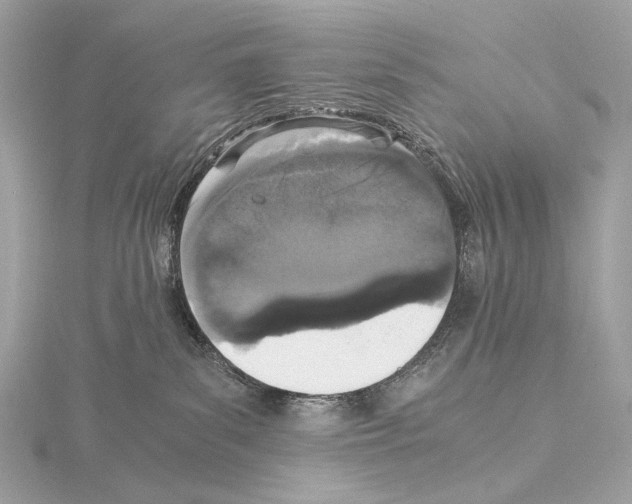 X0000115060139200912071159