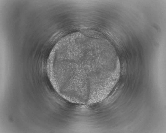 X0000115060140200912071159