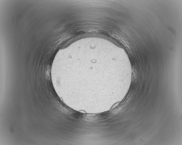 X0000115060141200912071159