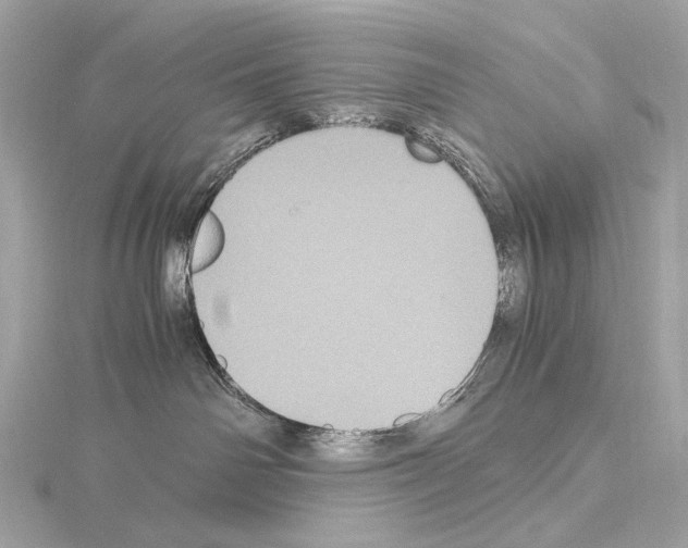 X0000115060142200912071159