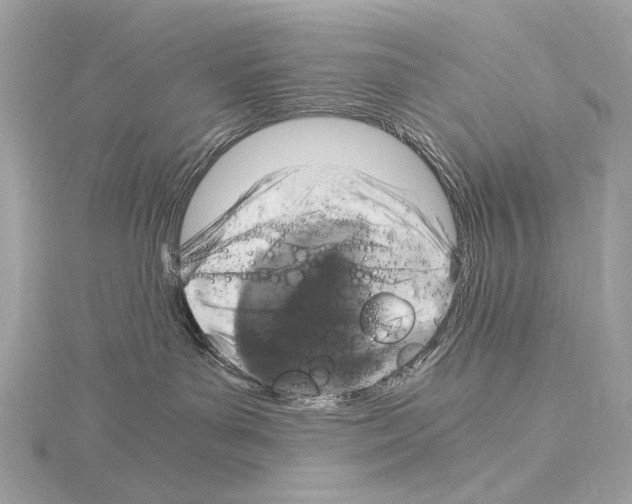 X0000115060143200912071159