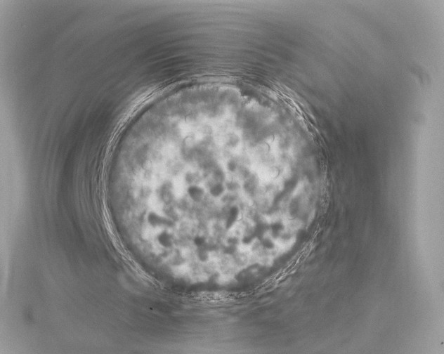 X0000115060145200912071158