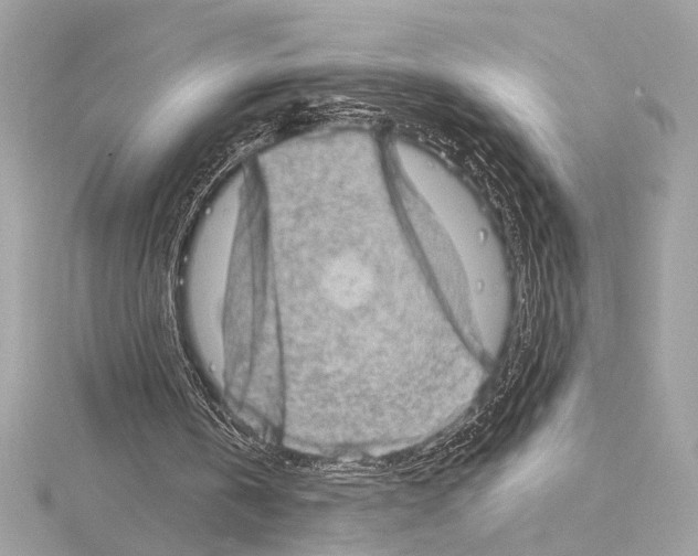 X0000115060146200912071158