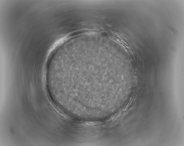 X0000115060149200912071158