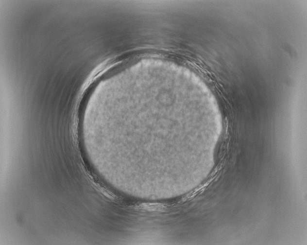 X0000115060150200912071158