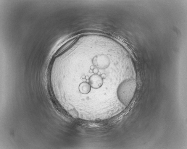 X0000115060151200912071158