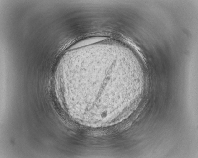 X0000115060153200912071158