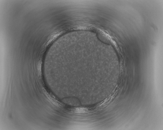 X0000115060154200912071158