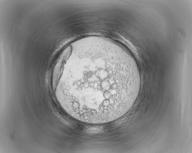 X0000115060155200912071158