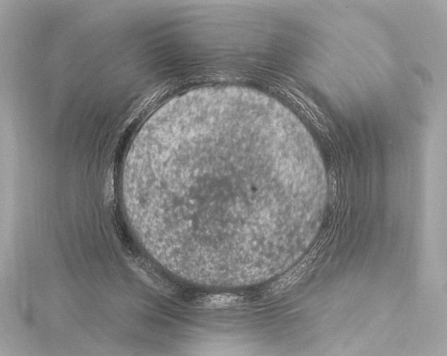 X0000115060158200912071158