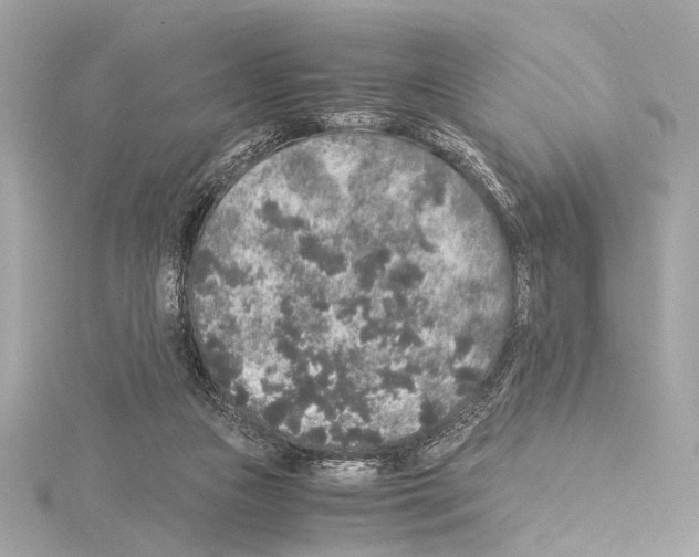 X0000115060161200912071158