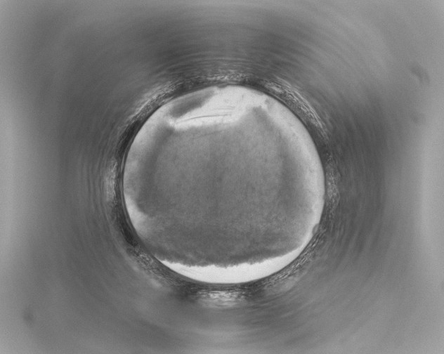 X0000115060163200912071158