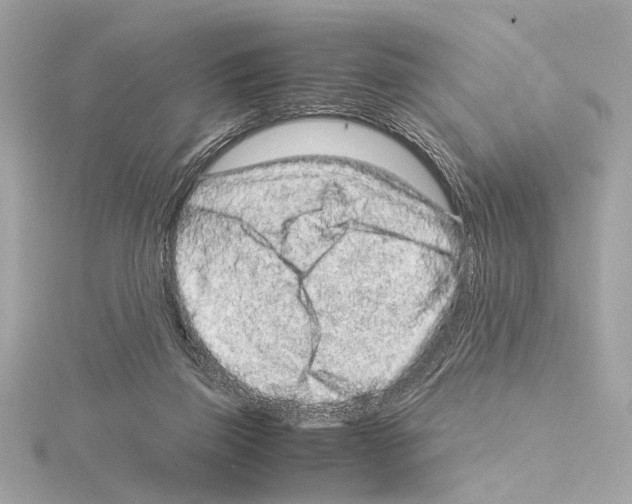 X0000115060165200912071158