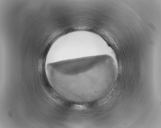 X0000115060167200912071158