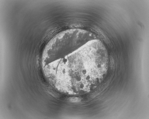 X0000115060169200912071158