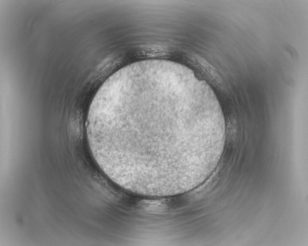 X0000115060170200912071158