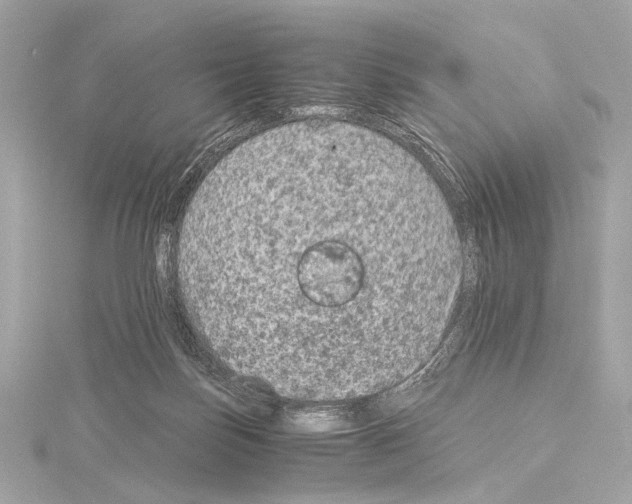 X0000115060171200912071158