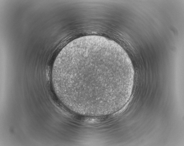 X0000115060174200912071159