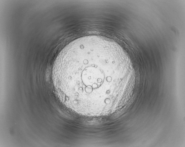 X0000115060175200912071159