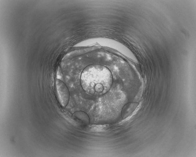 X0000115060182200912071159