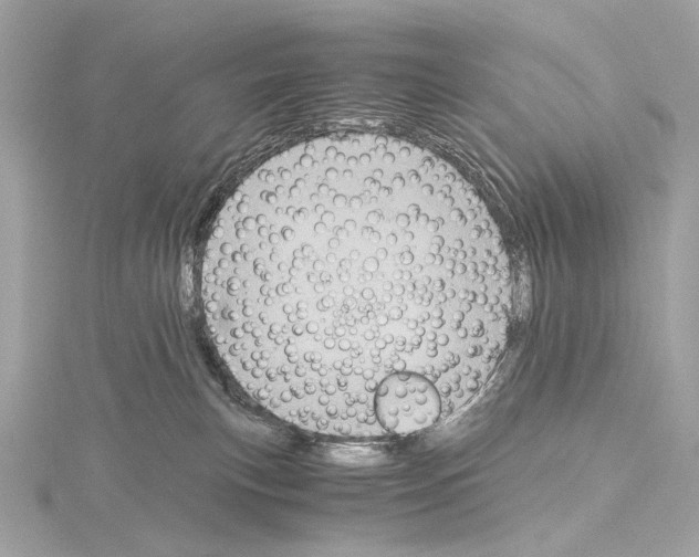 X0000115060183200912071159