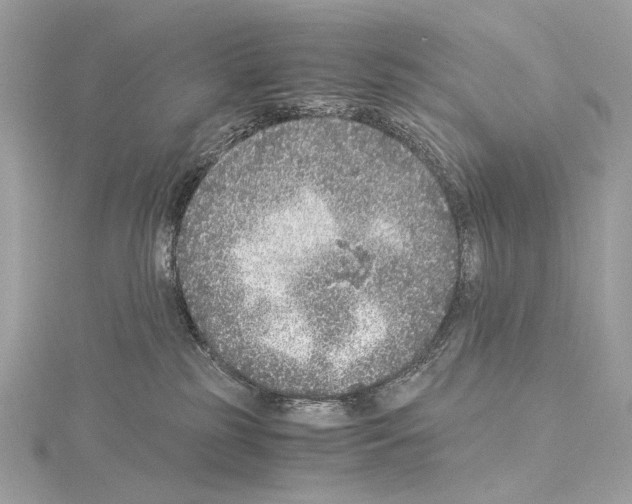 X0000115060185200912071159