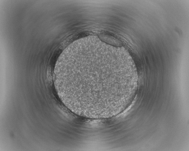 X0000115060186200912071159