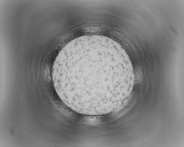 X0000115060187200912071159