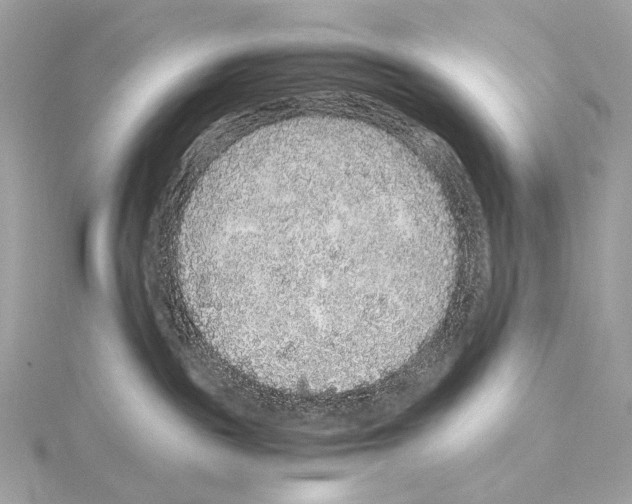 X0000115060189200912071159