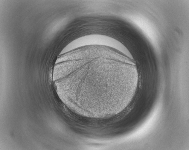 X0000115060190200912071159