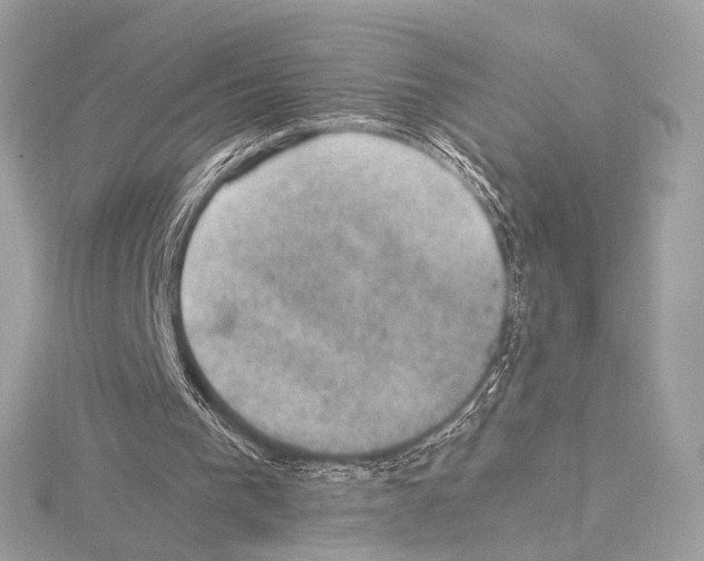 X0000115060193200912071158